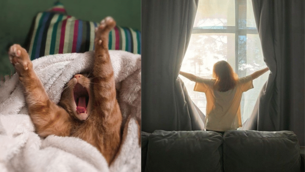 O Que Faço Quando Preciso de Um Recomeço (E Só Tenho Um Domingo Livre)