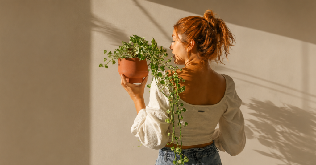 Como Minhas Plantas Me Ensinam Sobre a Paciência e o Crescimento