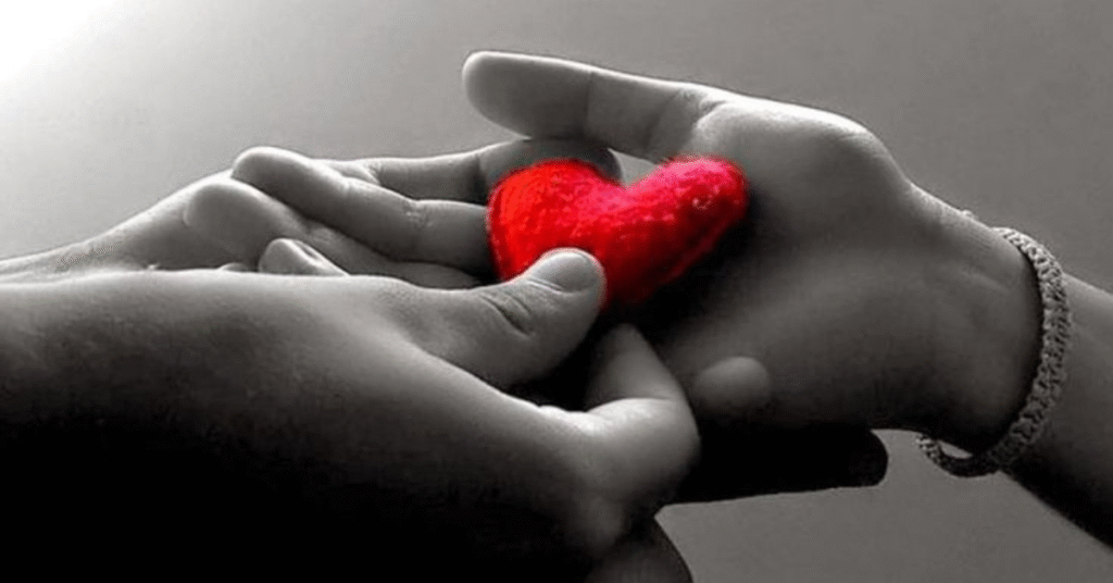 O meu Perdão: Como me Libertei de Mágoas e Finalmente Pude Viver em Paz.