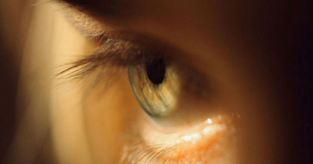 Meu Método para ‘Visualizar o Futuro’ em 5 Etapas Simples.